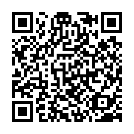 QR code for O55739