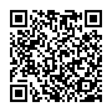 QR code for O63228