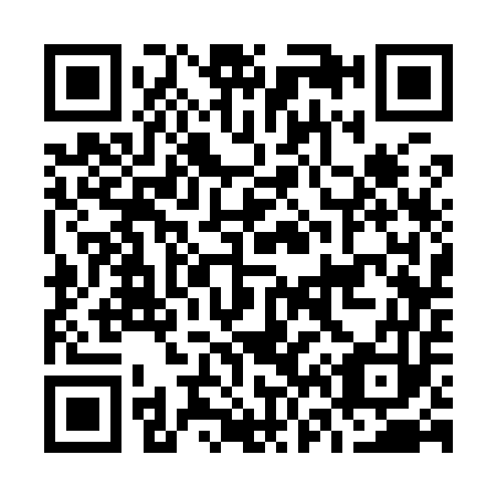 QR code for O63953