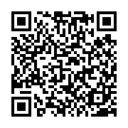 QR code for O65603