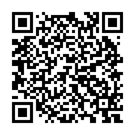 QR code for O81295