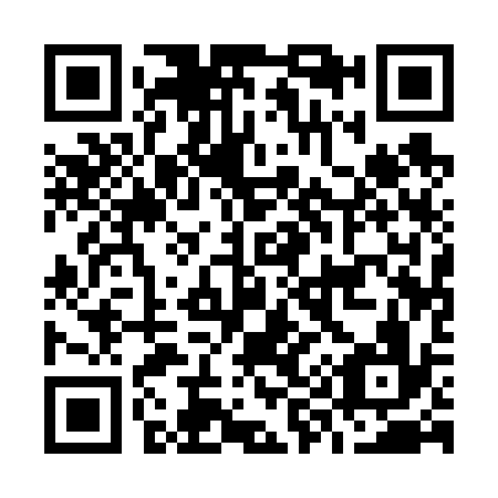 QR code for O91636