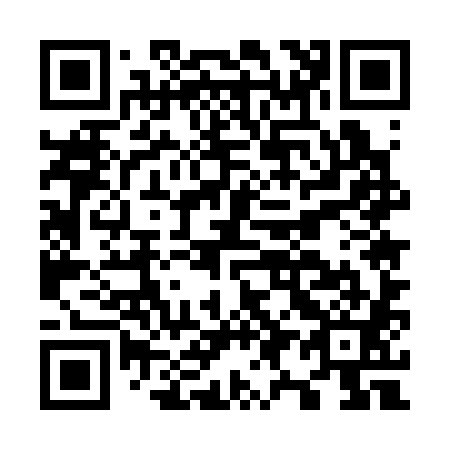 QR code for O95381