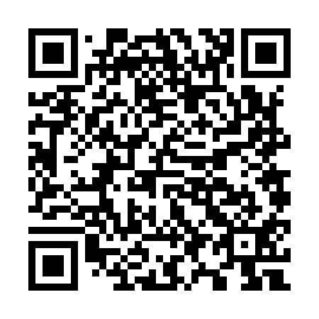 QR code for O96911