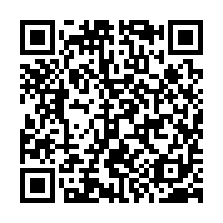 QR code for O99391