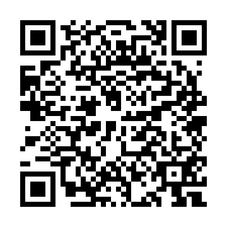 QR code for OAO2511