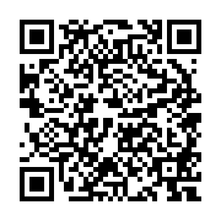 QR code for OAO2882