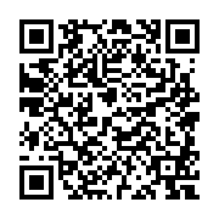 QR code for plate OBM-3805