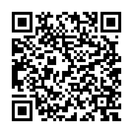 QR code for plate OIR-0436