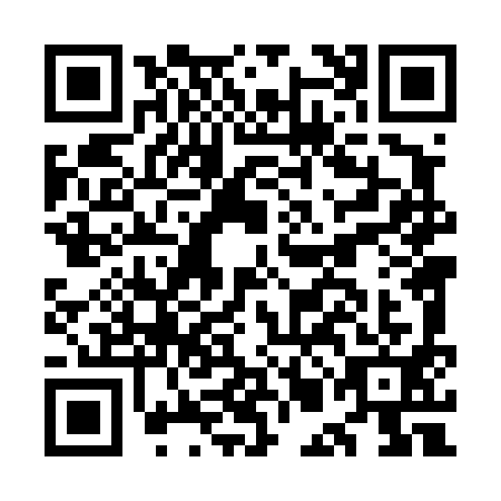 QR code for plate OML-4910