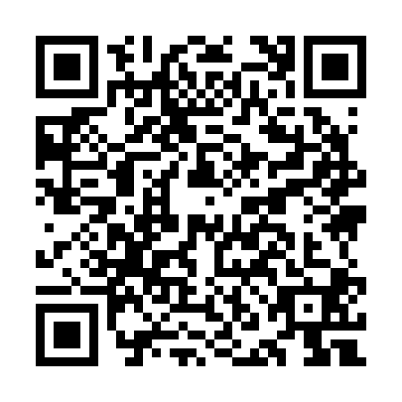 QR code for ONI-2009