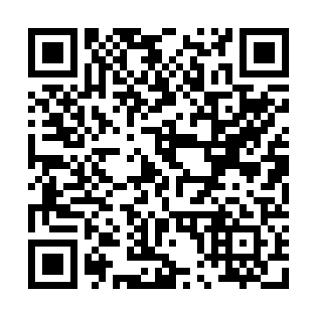 QR code for P00221