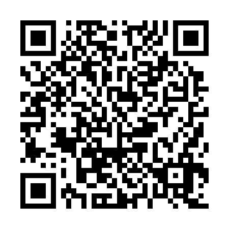 QR code for P00336