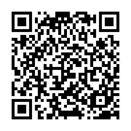 QR code for P03307