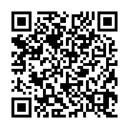 QR code for P03822