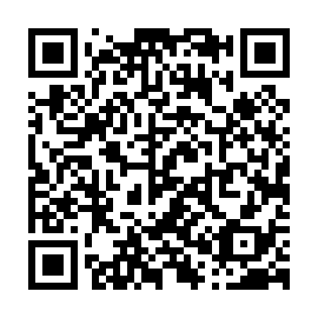 QR code for P04038