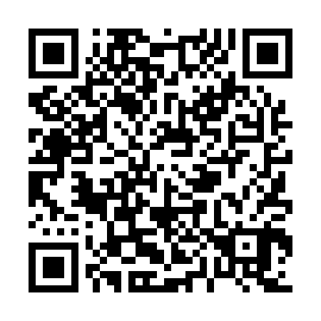 QR code for P04100