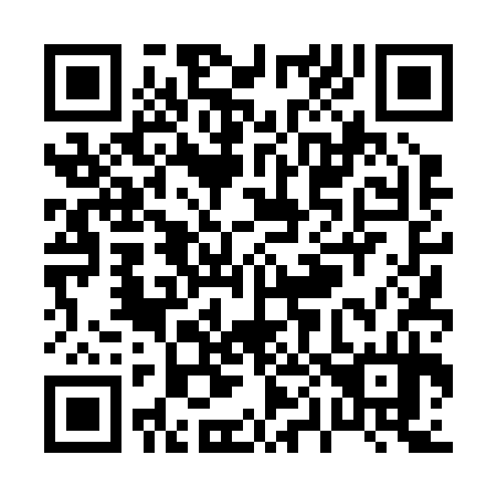 QR code for P04234