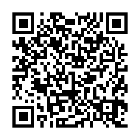 QR code for P06163