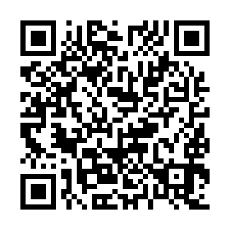 QR code for P06193