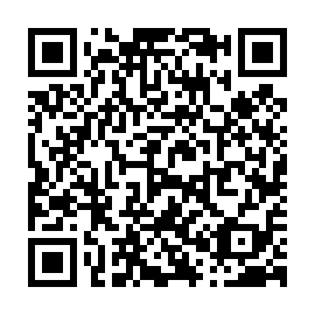 QR code for P06419