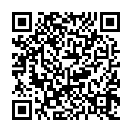 QR code for P06818