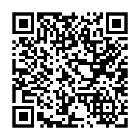 QR code for P07384