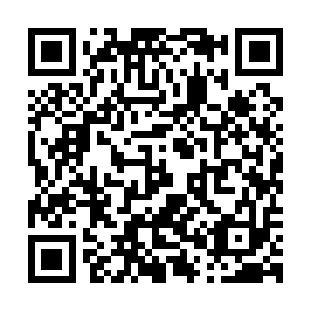 QR code for P09113