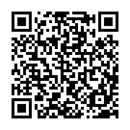 QR code for P10294