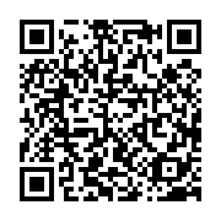 QR code for P10578