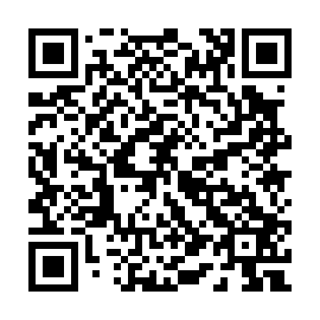 QR code for P11003