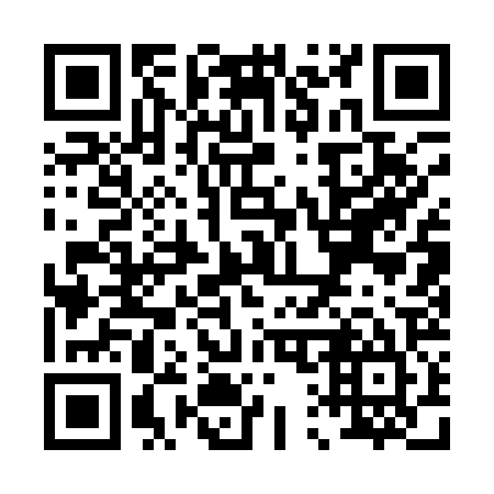 QR code for P11125