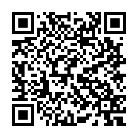 QR code for P11137
