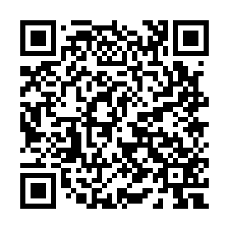 QR code for P11153
