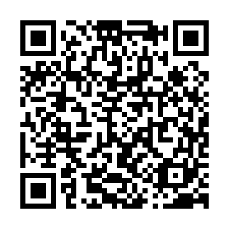 QR code for P11161