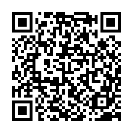 QR code for P11162