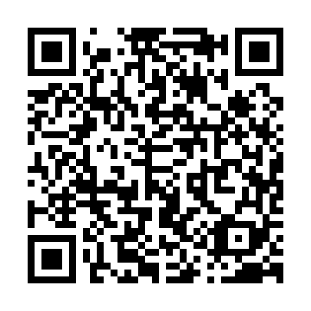 QR code for P11169