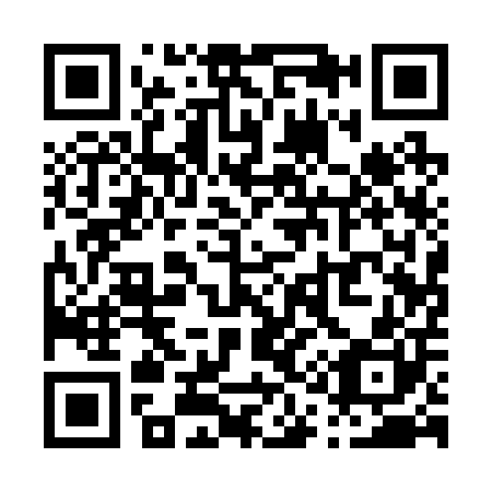 QR code for P11200