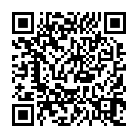 QR code for P11210