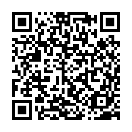 QR code for P11260