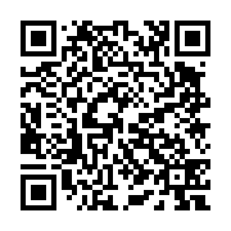 QR code for P11439