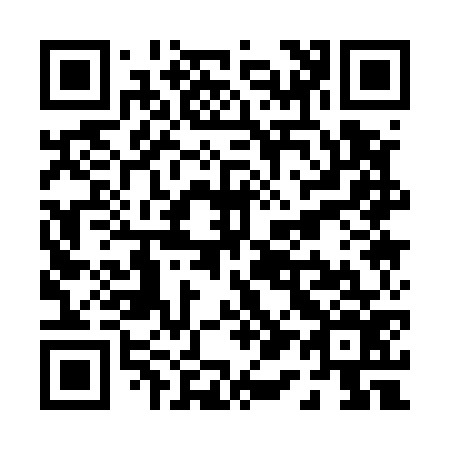 QR code for P11576