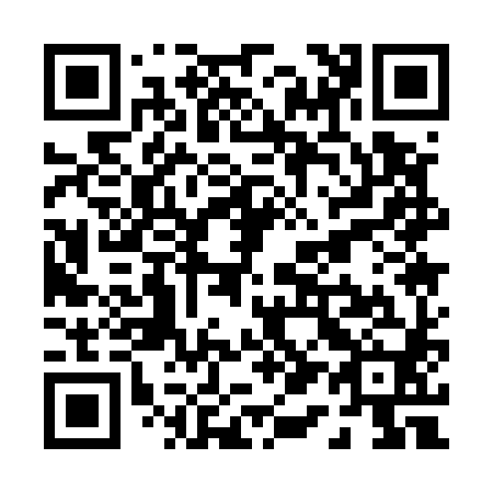 QR code for P11580