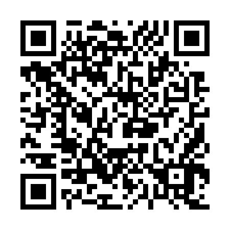 QR code for P11746