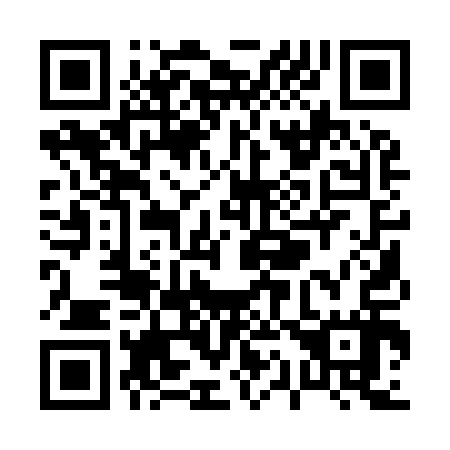 QR code for P11917