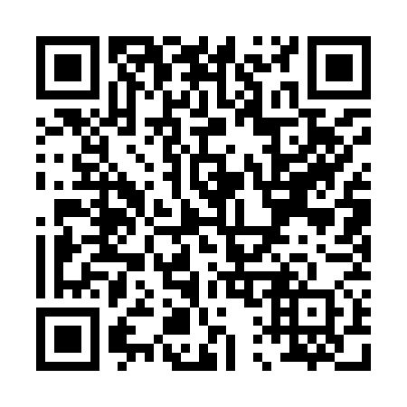 QR code for P11970