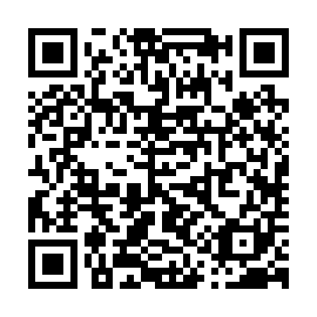 QR code for P12201