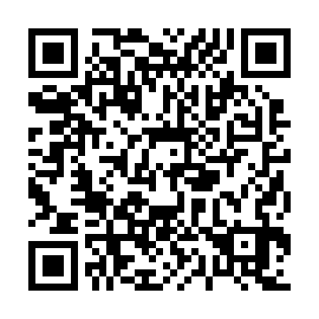 QR code for P12233