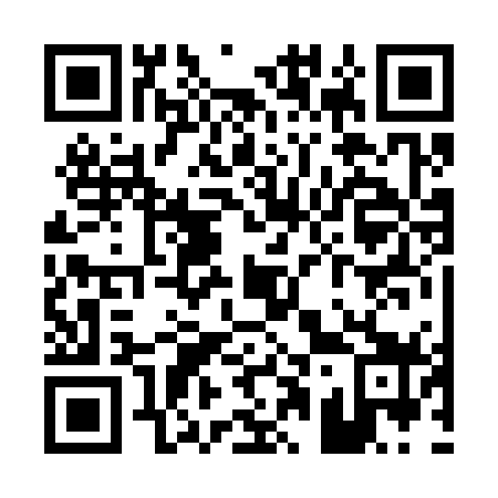QR code for P12379