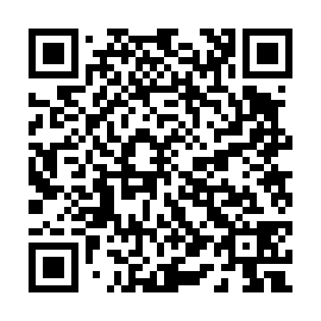 QR code for P12438